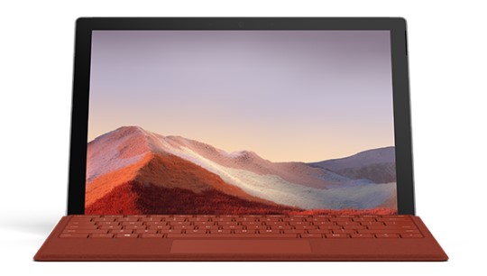 易门清洁和维护 Surface